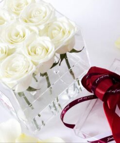 Hộp hoa thuỷ tinh - Grace hoa hồng trắng/ Hộp hoa thuỷ tinh Grace