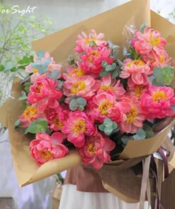 Bó hỏa Tỏa sáng