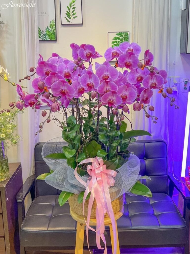 Bó hướng dương - hoa đẹp tặng sinh nhật ông xã tinh tế