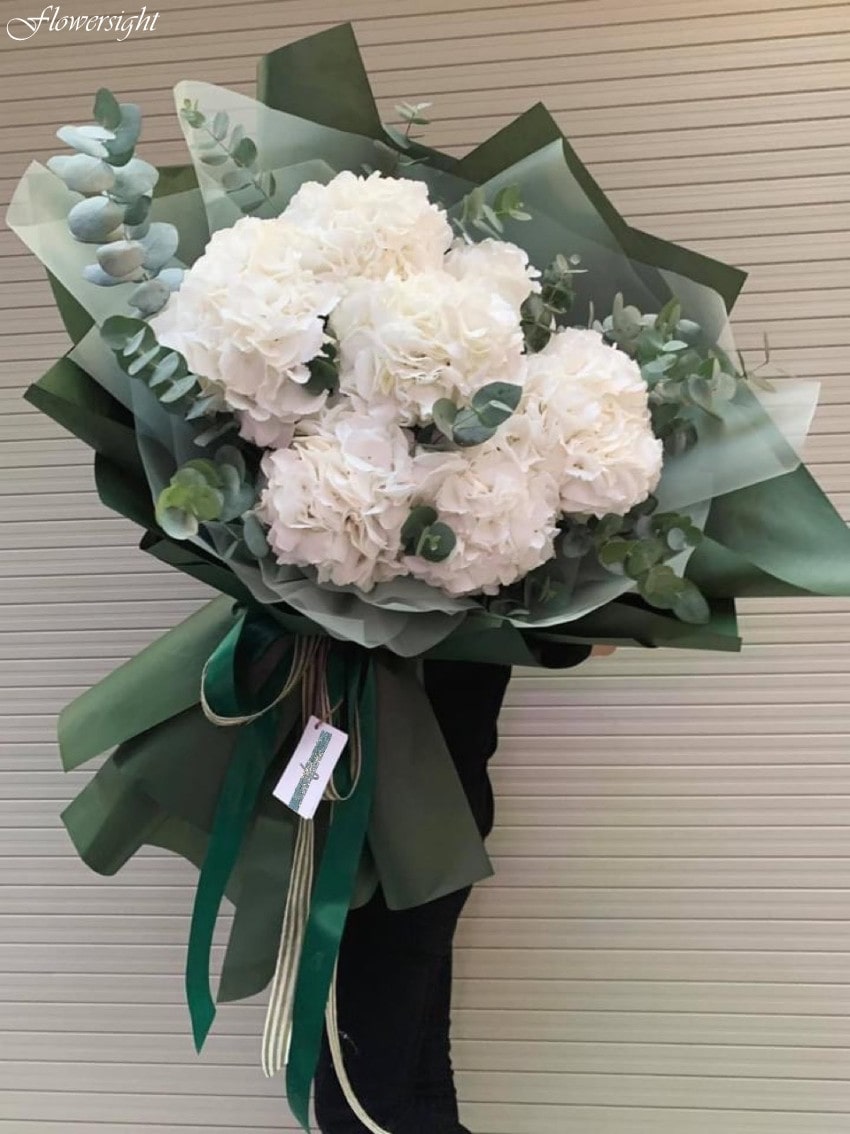 Bó hoa cẩm tú cầu trắng