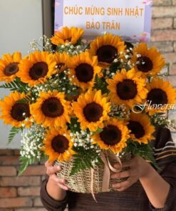 giỏ hoa hướng dương Nắng dễ thương
