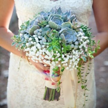 Hoa cưới Ngát xanh