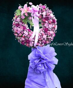 Hoa cúc tím đám tang than ca