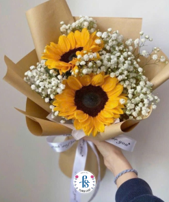 Hoa hướng dương tốt nghiệp
