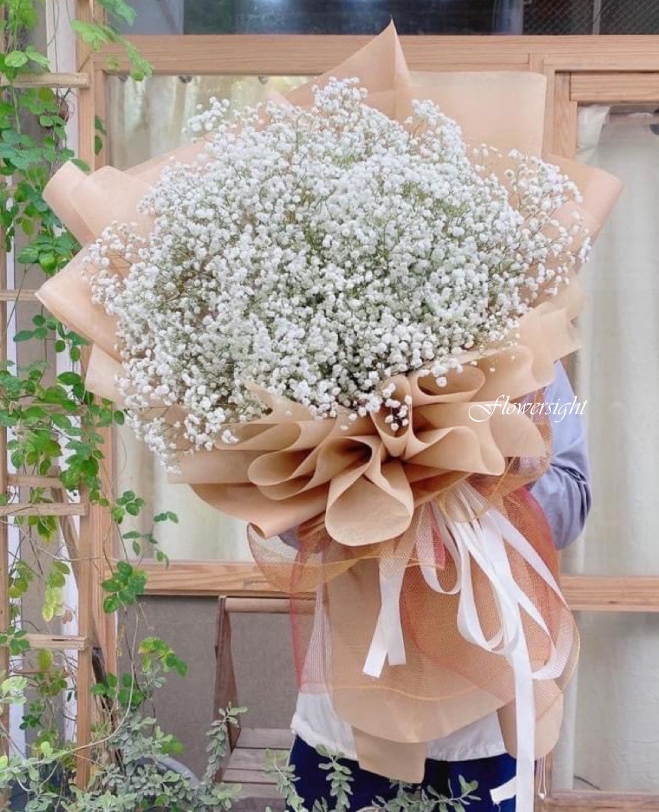 Gói Trọn Tình Gói trọn tình