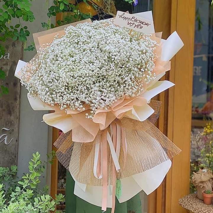 Gói Trọn Tình Gói trọn tình