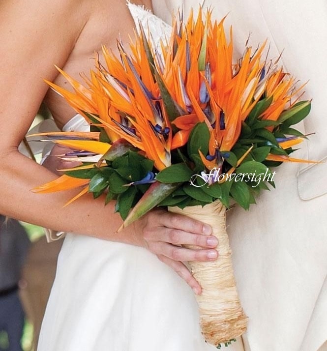 Bến bờ hạnh phúc hoa cưới cầm tay Bến bờ hạnh phúc