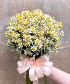 hoa cưới cầm tay whiten