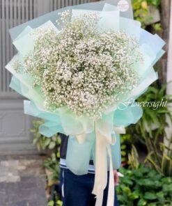 hoa baby nhập khẩu hà lan Bản tình ca