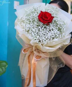 hoa mừng tốt nghiệp baby và 1 bông hồng đỏ - "Lời Tỏ tình"