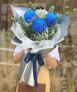 hoa tốt nghiệp cúc mẫu đơn "Blue Sky"