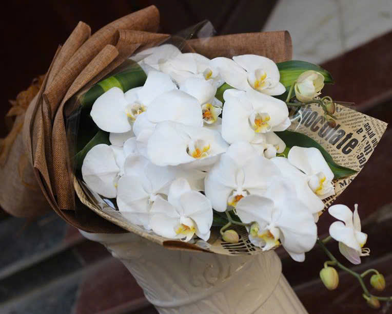 Bó hoa lan hồ điệp trắng