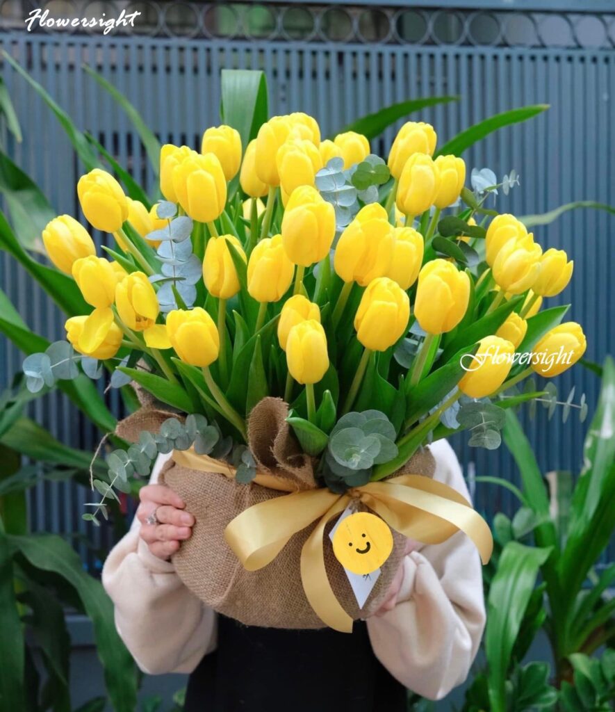 Ảnh các loại hoa - tulip vàng
