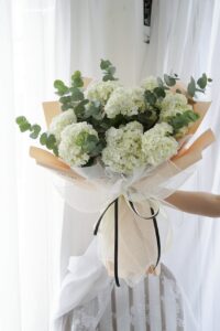Bó hoa cẩm ú cầu trắng sữa