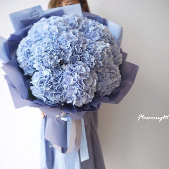 Bó hoa cẩm tú cầu xanh