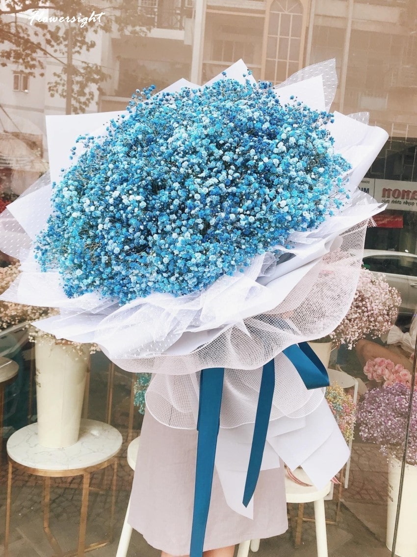 hoa bi xanh loại hoa mang vẻ đẹp của đại dương