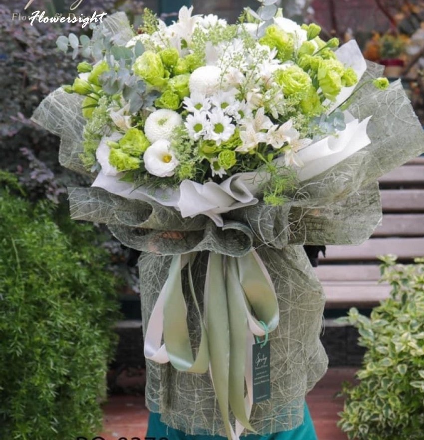 Hoa cúc rất phổ biến ở nhiều nơi trên thế giới