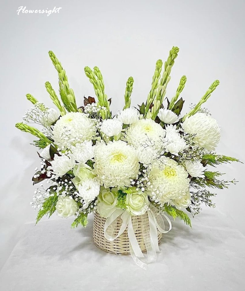 Hoa cúc trắng - Tượng trưng cho sự hiếu thảo