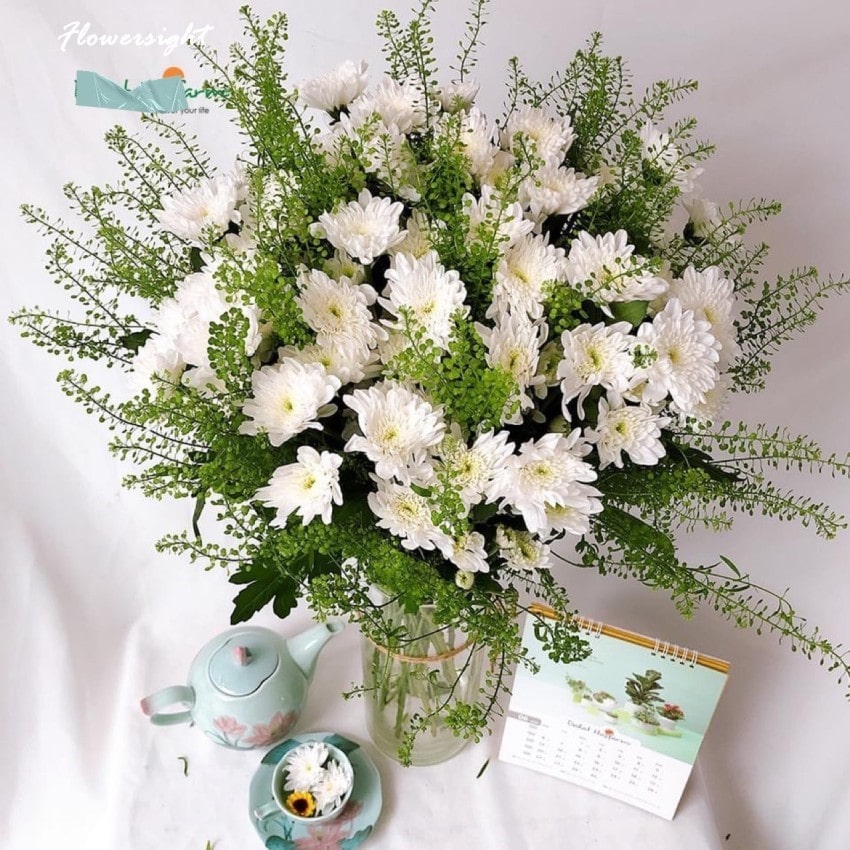 Hoa cúc trắng - Tượng trưng cho sức sống mãnh liệt
