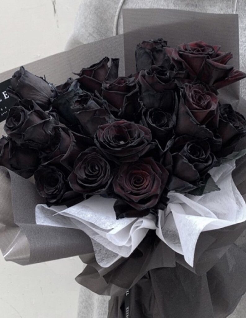 Hoa hồng đen mang cảm giác cô đơn, nỗi buồn