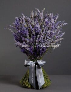 Hoa-lavender-co-nguon-goc-tu-vung-Dia-Trung-Hai-min