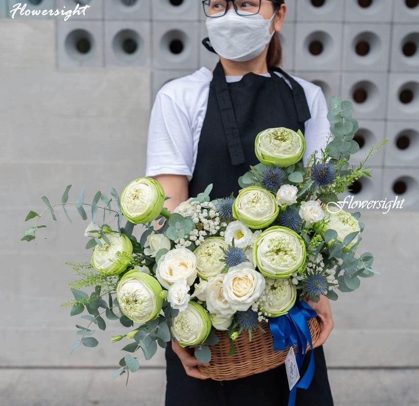 Hoa sen trắng - vị trí dẫn đầu trong các loài hoa đẹp nhất Việt Nam
