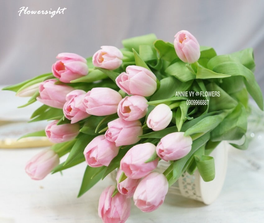 Uất kim cương hay tulip tượng trưng cho tình cảm vĩnh cửu
