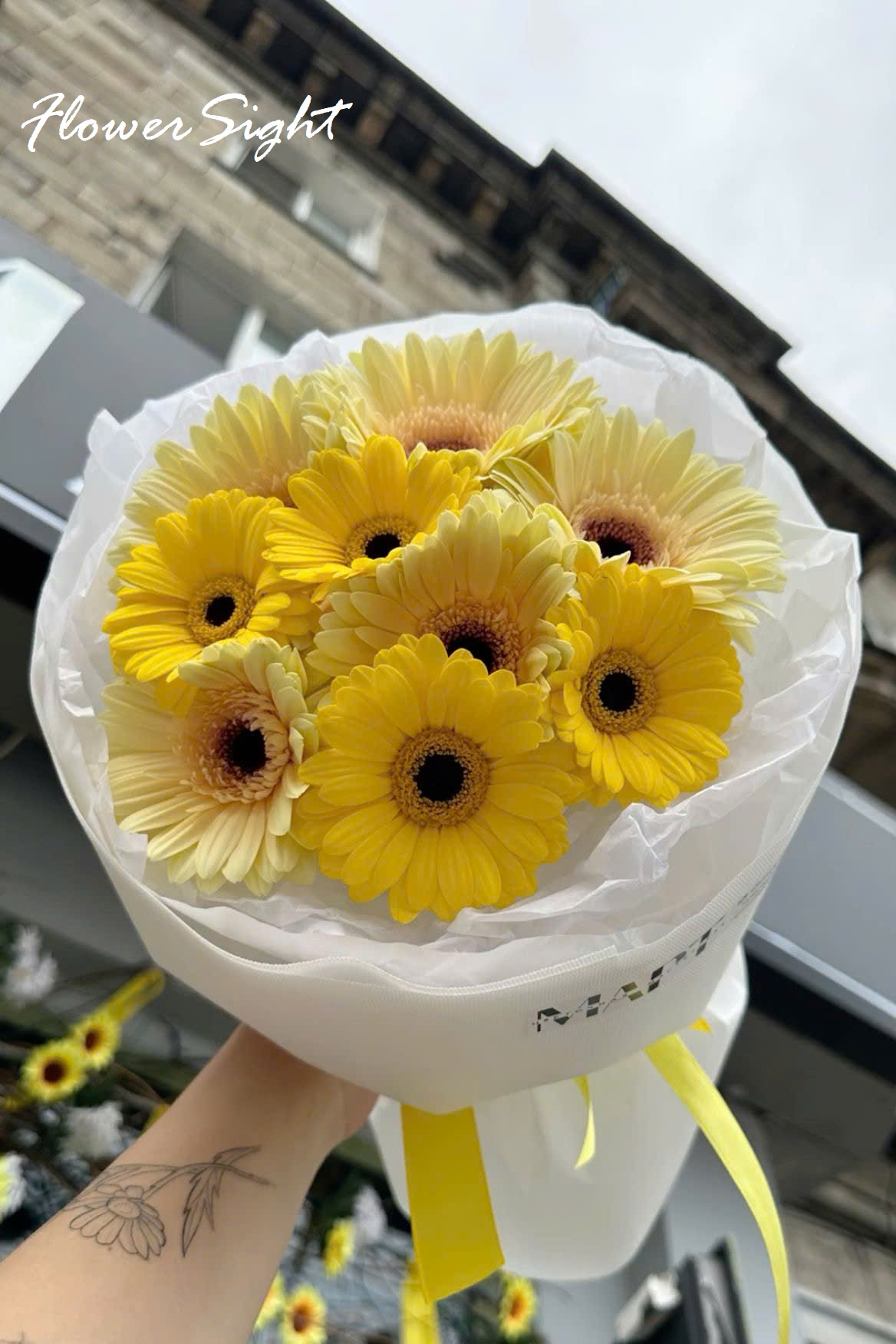 Bó hoa đồng tiền vàng