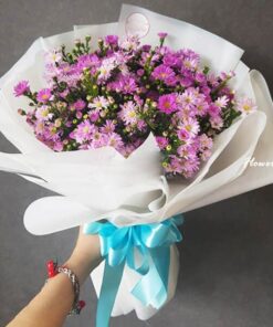 Hoa thạch thảo và những điều bạn chưa biết