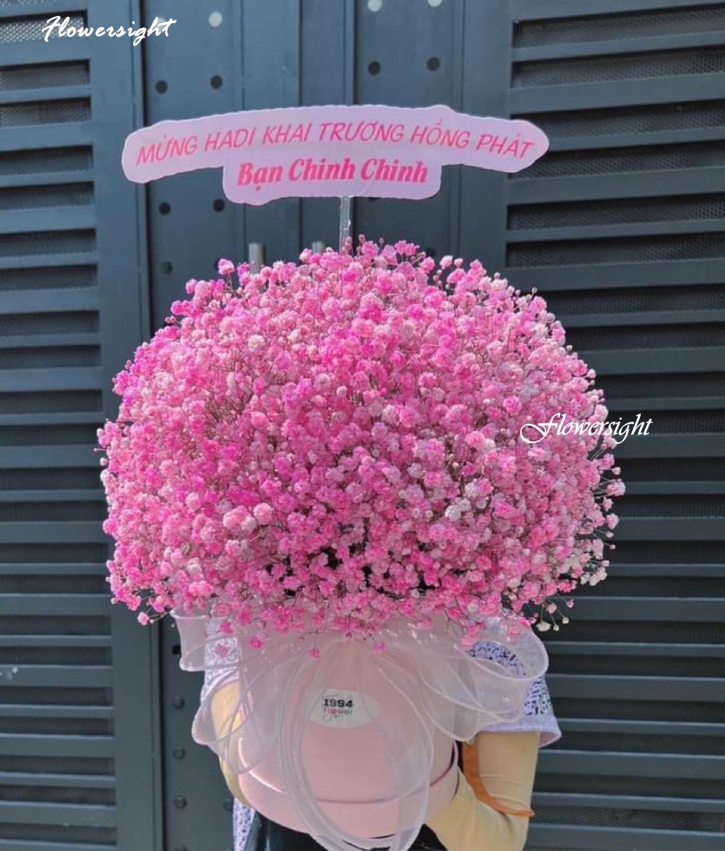 Hộp Hoa baby hồng đẹp tại FlowerSight
