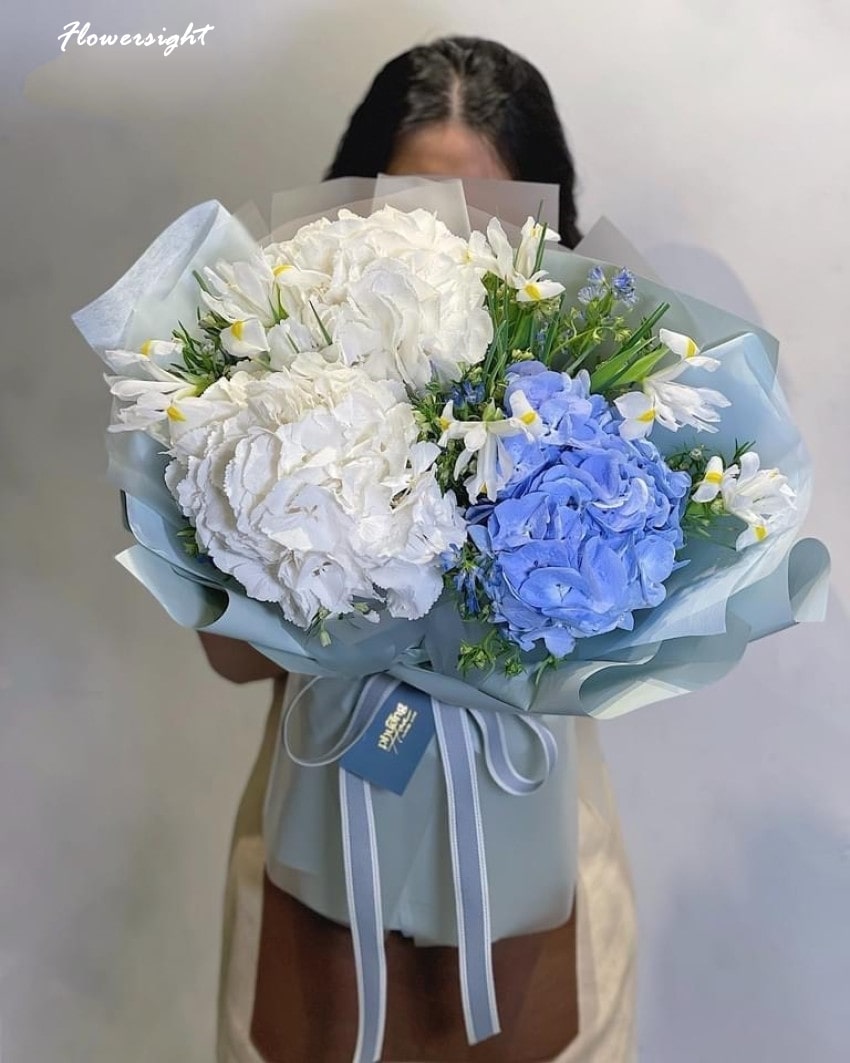 Bó hoa cẩm tú cầu xanh kết hợp sắc trắng thuần khiết đầy ấn tượng