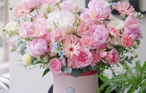 Các loại hoa sinh nhật màu hồng đẹp và ý nghĩa