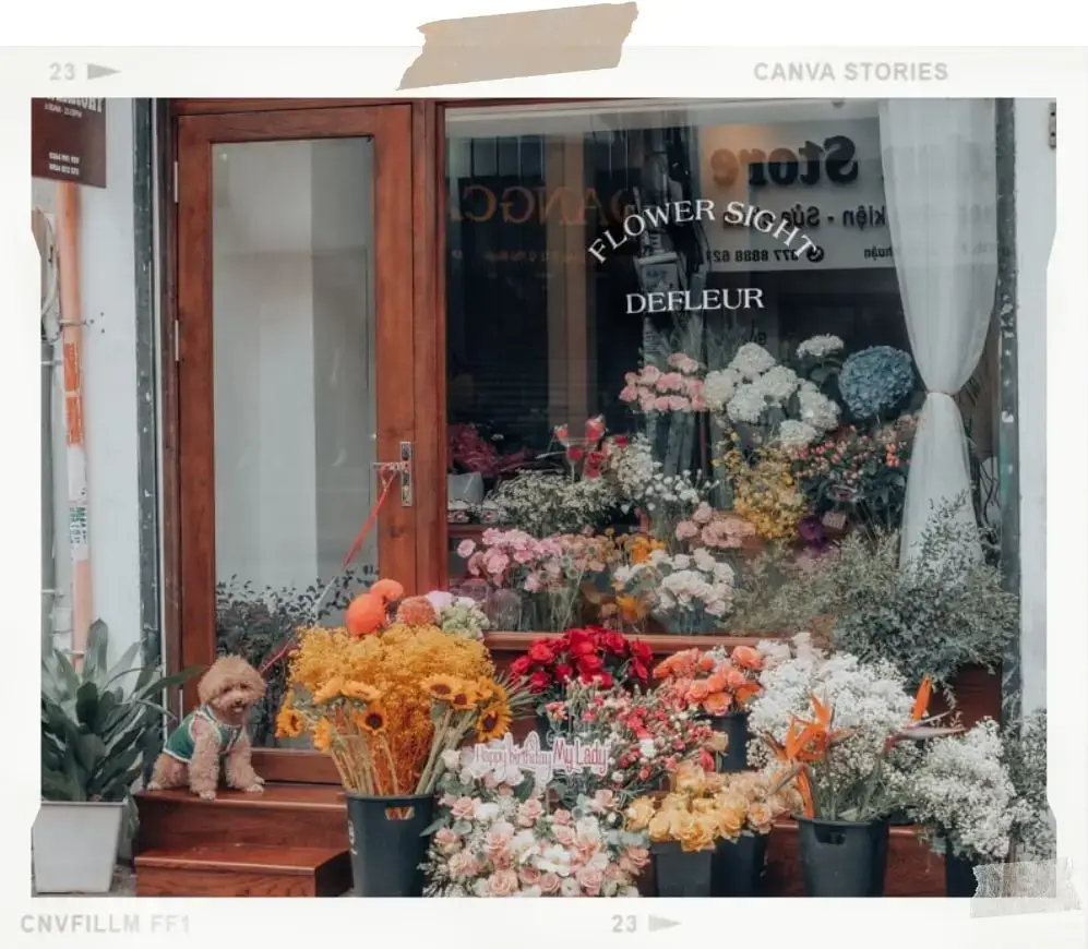 Shop hoa tươi, shop hoa tươi TPHCM, Shop hoa tươi giá rẻ TPHCM, Đặt hoa online, cửa hàng hoa tươi