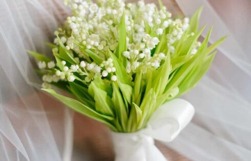 Hoa cưới linh lan – Bó hoa đắt giá nhất thế giới