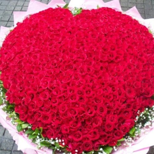 Bó hoa hồng 1000 bông