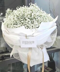 Bó hoa baby trắng