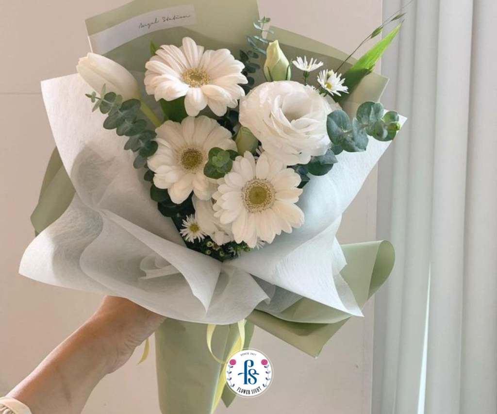 Bó hoa đồng tiền trắng