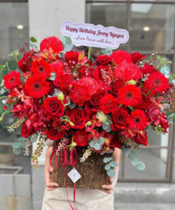 Hoa đồng tiền để bàn