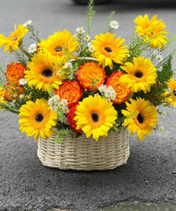 Giỏ hoa đồng tiền vàng