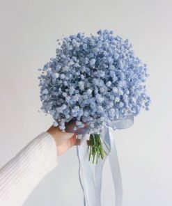 Đặc điểm hoa baby xanh