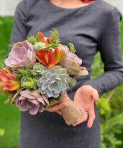 Bó Hoa cưới sen đá