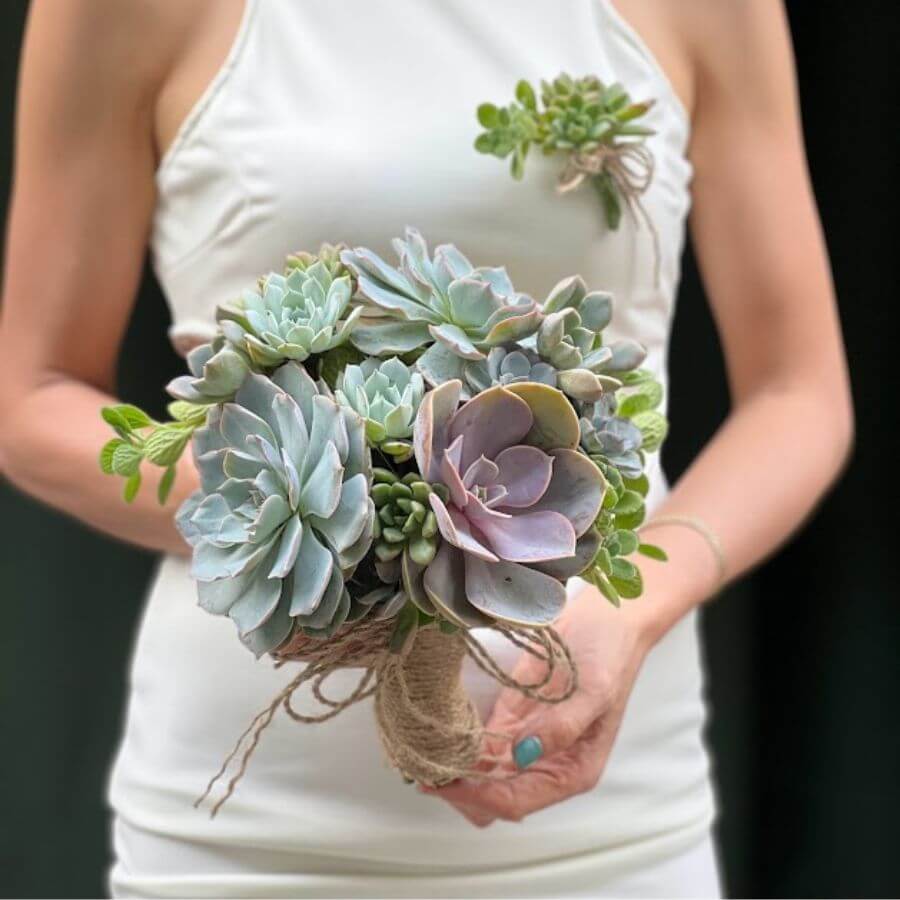 Hoa cưới sen đá 