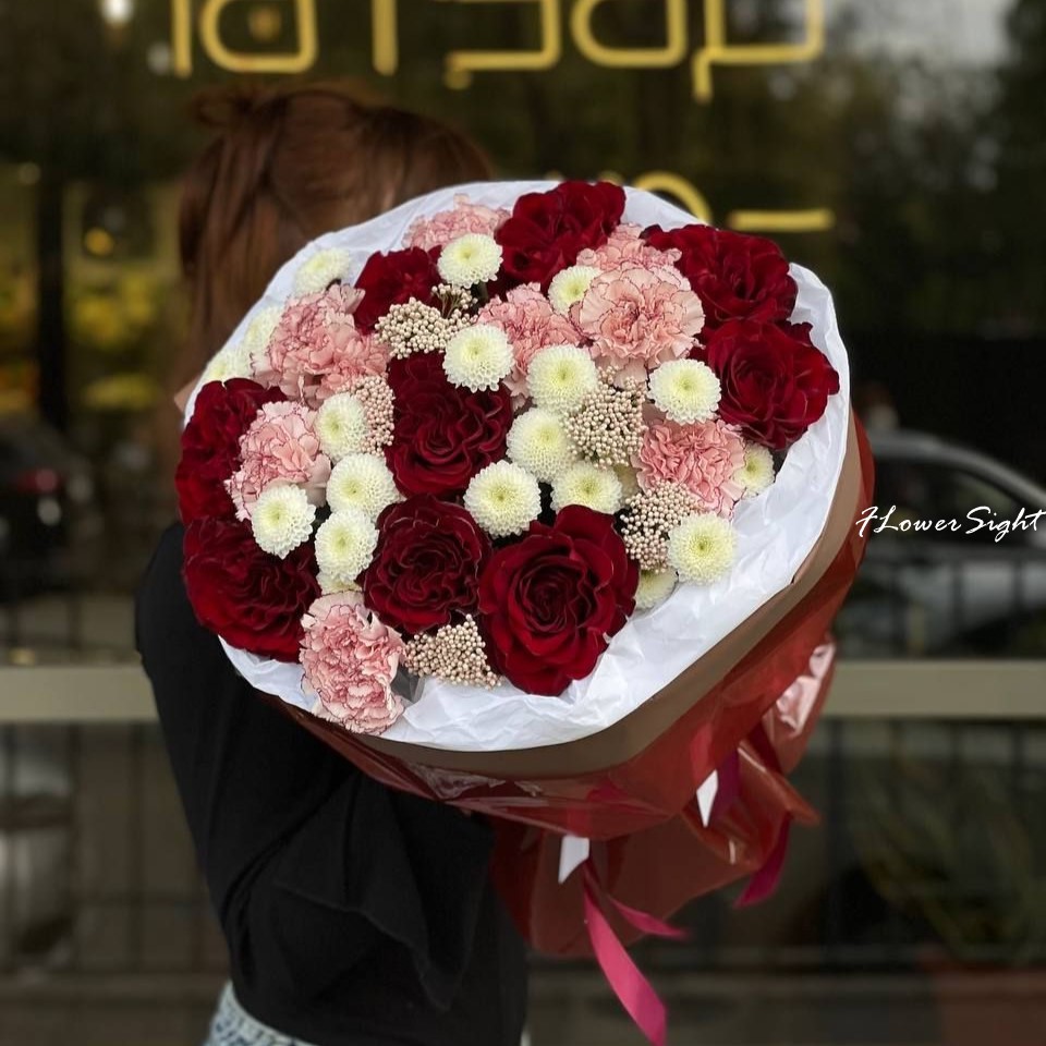 Hoa hồng giáng sinh Hoa hồng giáng sinh