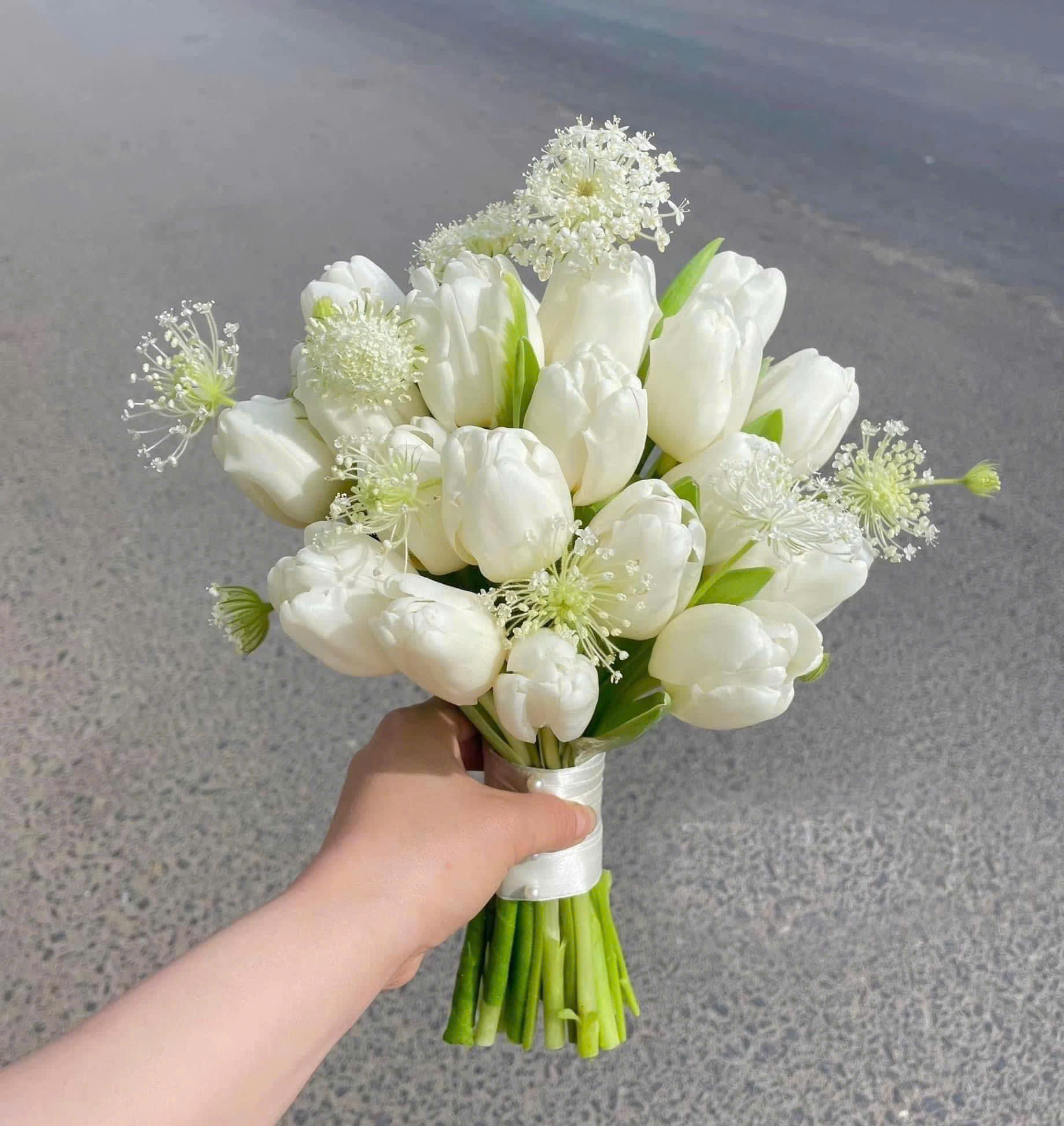 Bó hoa tulip trắng cô dâu