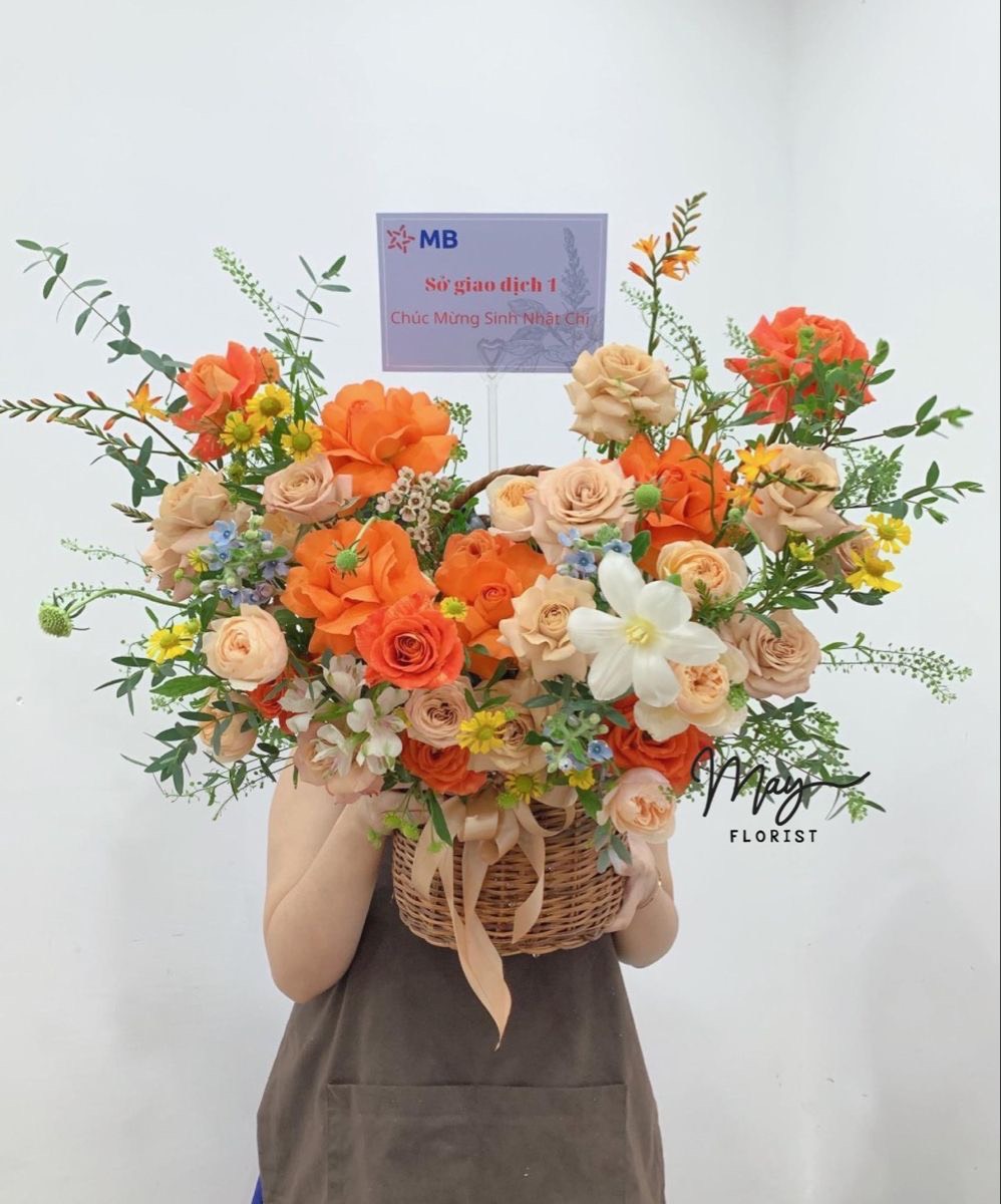 Chậu hoa nhỏ Tết hoa đồng tiền