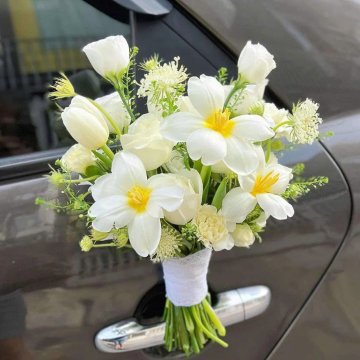 Trái Tim Rực Lửa