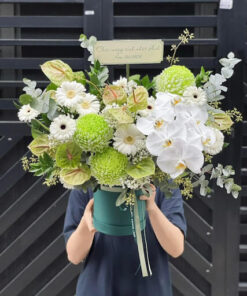 Hoa để màn màu xanh xanh dương