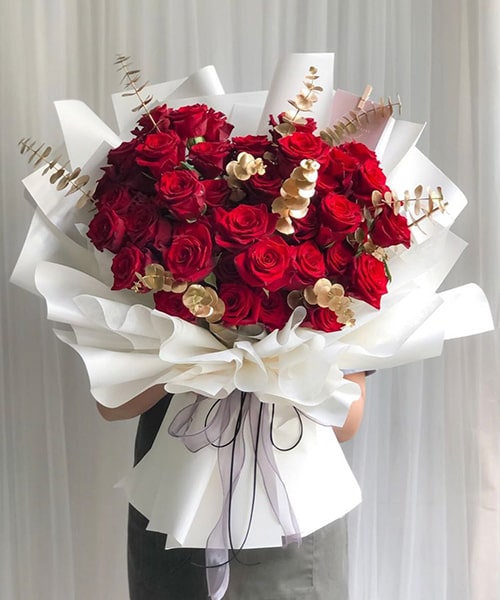 Hoa giáng sinh màu đỏ Hoa giáng sinh màu đỏ