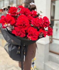 hoa màu đỏ thẫm