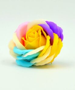 Hoa sáp cầu vồng